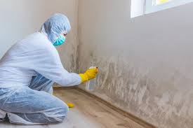 Best Commercial Mold Inspection  in Bath, PA